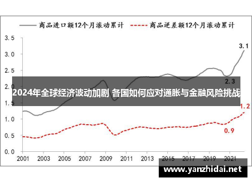 2024年全球经济波动加剧 各国如何应对通胀与金融风险挑战