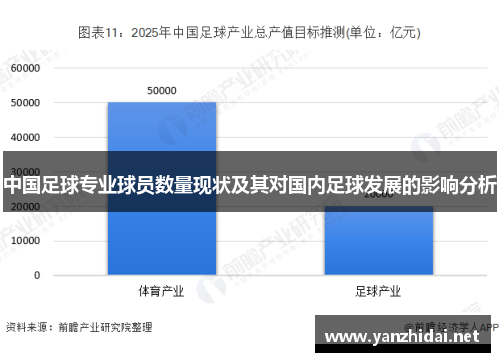 中国足球专业球员数量现状及其对国内足球发展的影响分析