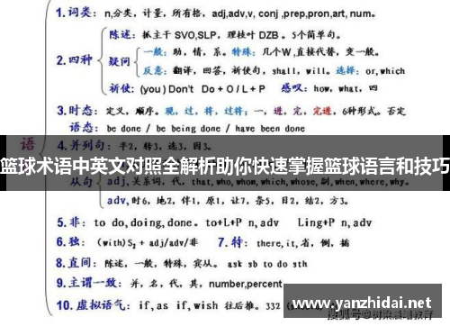 篮球术语中英文对照全解析助你快速掌握篮球语言和技巧